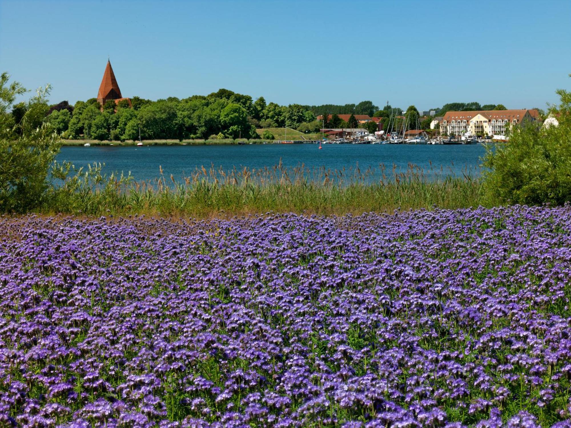 Daenisches Ferienhaus Kaltenhof Exteriör bild